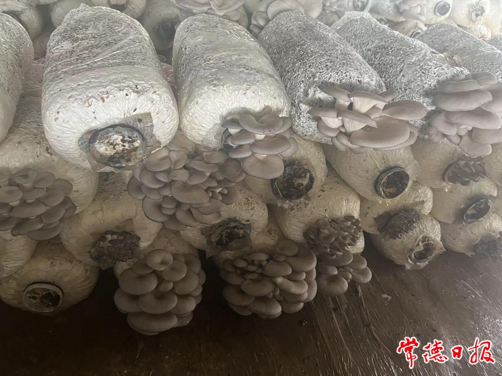 鄧繼林1_20231107142057.jpg