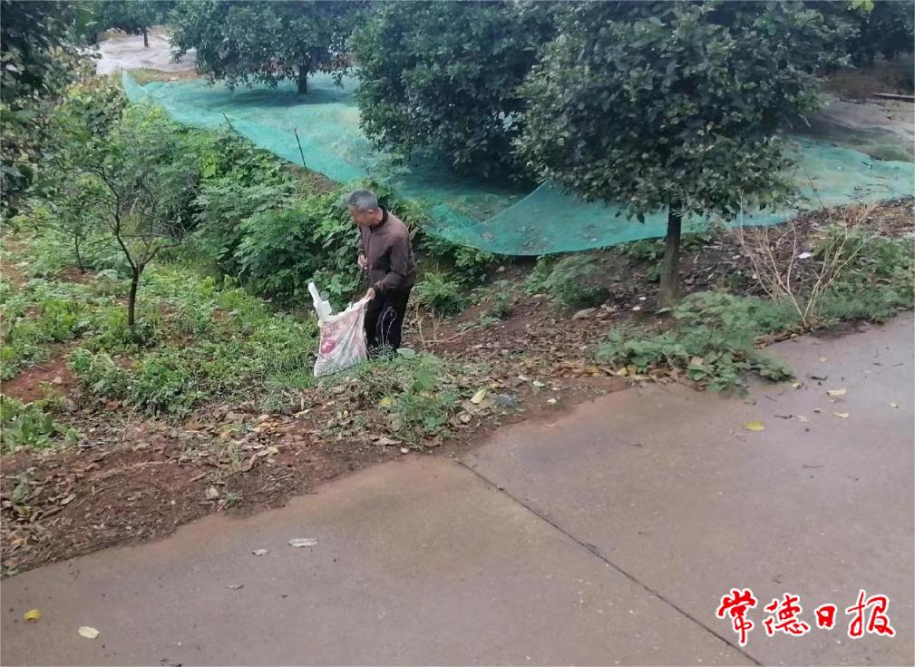 陳正蘭在道路旁打掃衛生.jpg
